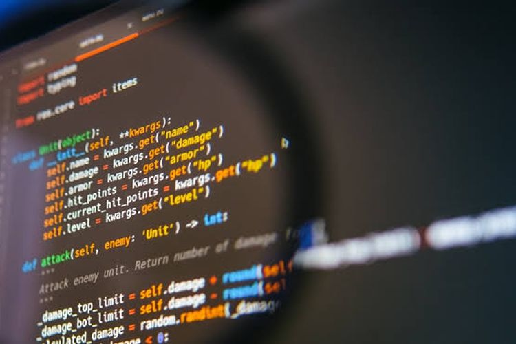 5 Langkah Efektif Belajar Coding untuk Pemula Absolut