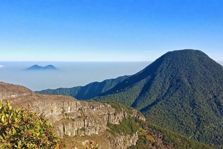 Mengulik Sejarah Singkat Kawasan Taman Nasional Gunung Gede Pangrango
