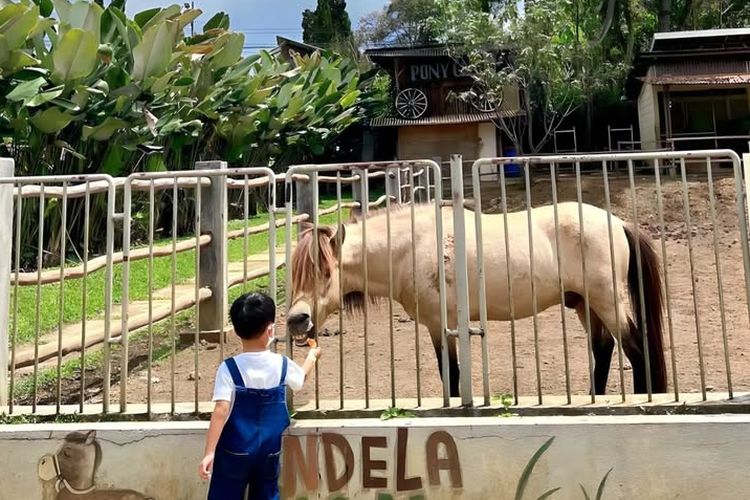 Wisata Jendela Alam Bandung, Tempat Rekreasi yang Cocok Ajak Si Kecil