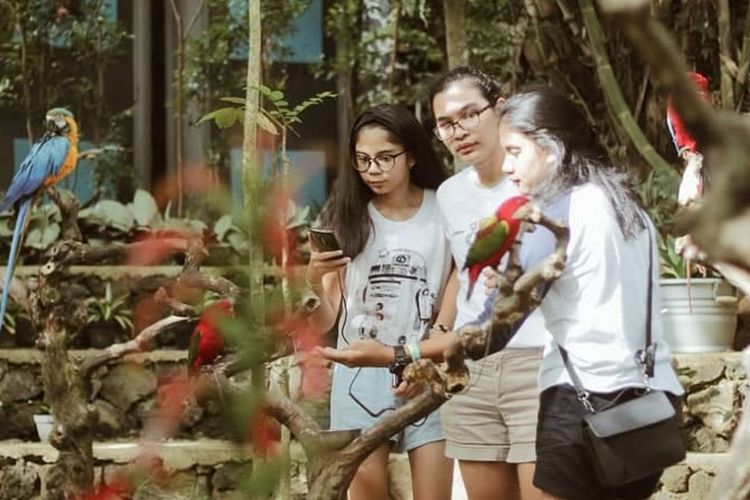 Bird Pavilion, Wisata Edukasi dan Rekreasi yang Menyenangkan di Lembang