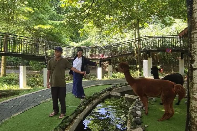 D'kandang Depok, Wisata Edukasi Seru untuk Liburkan Bareng Si Kecil