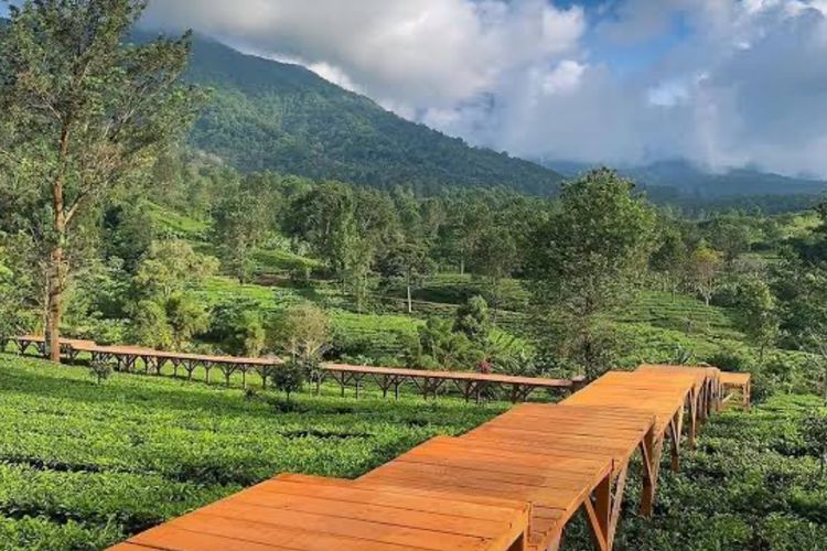 4 Perusahaan di Bogor Ini Disegel Pemerintah Gegara Langgar Aturan Lingkungan