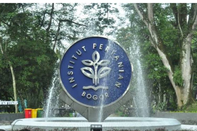 IPB Dapati 28.297 Pendaftar SNBP 2025, Berikut 10 Prodi Paling Diminati
