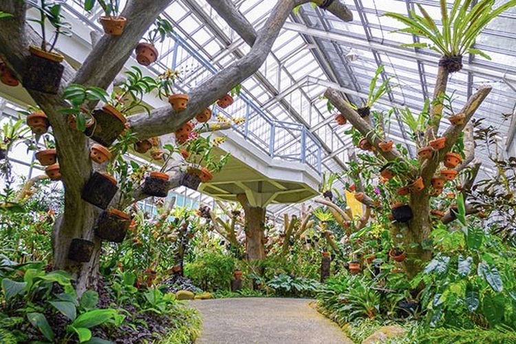 5 Destinasi Wisata Cianjur yang Cocok Dikunjungi Saat Libur Panjang Lebaran