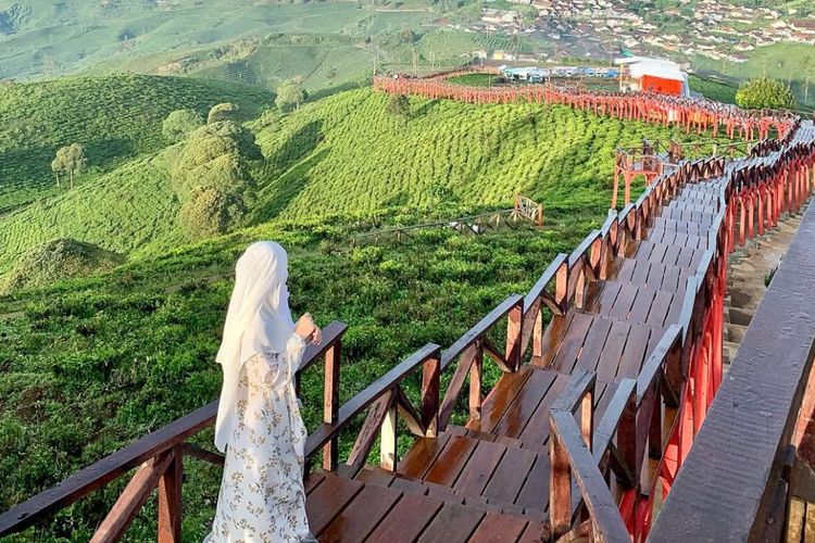 View Alam Terbaik di Bandung? Sudah Pasti Taman Langit Pangalengan!