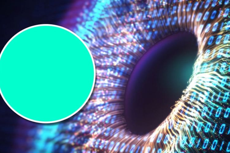 Olo Bukan Sekadar Warna Biasa, Berikut Fakta Mengejutkannya