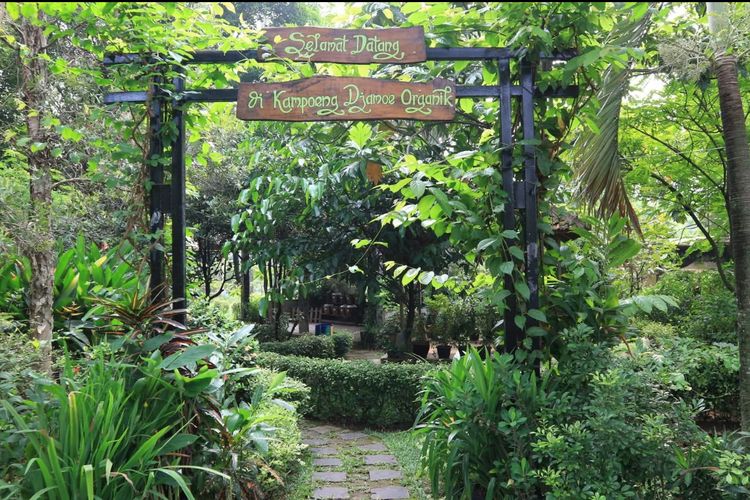 Kampoeng Djamoe Organik: Destinasi Wisata Sehat yang Menyegarkan Jiwa dan Raga di Cikarang