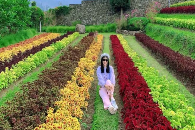 Happy Farm Ciwidey: Wisata Edukasi dan Rekreasi Alam yang Memikat di Bandung