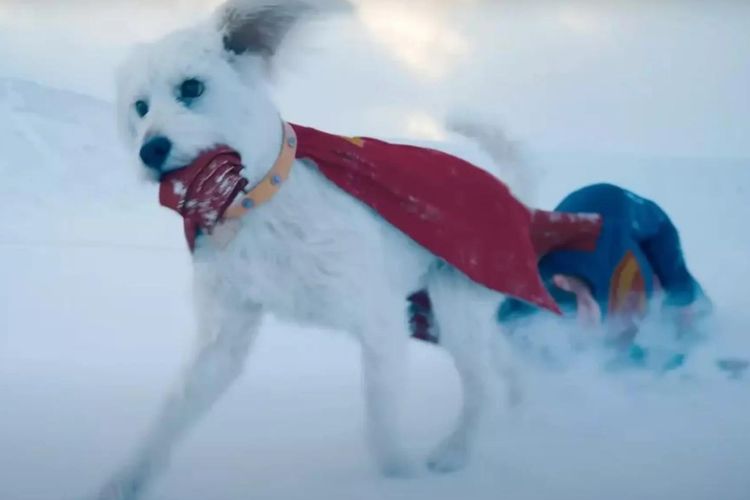 Mengenal Krypto, Sahabat Setia Superman yang Miliki Kekuatan Super