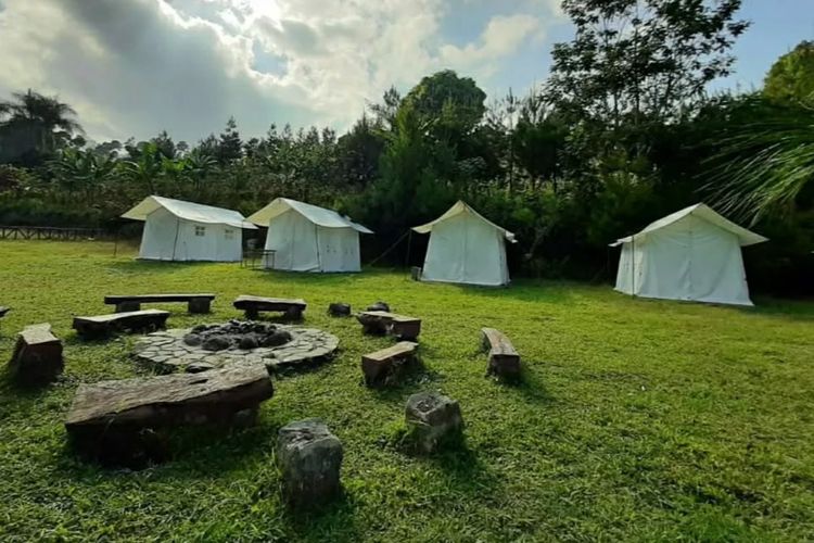 Pine Forest Camp Lembang: Pengalaman Berkemah Eksklusif di Tengah Keindahan Alam