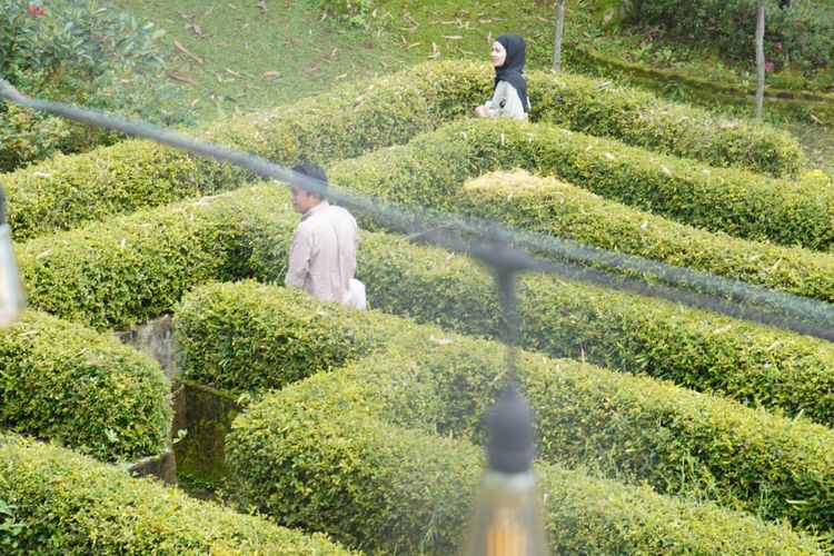 Ciwidey Valley Resort, Destinasi Keluarga Terbaik dengan Nuansa Alam yang Asri