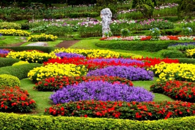 Liburan Cantik di Taman Bunga Cihideung: Oase Ketenangan di Tengah Kesejukan Bandung