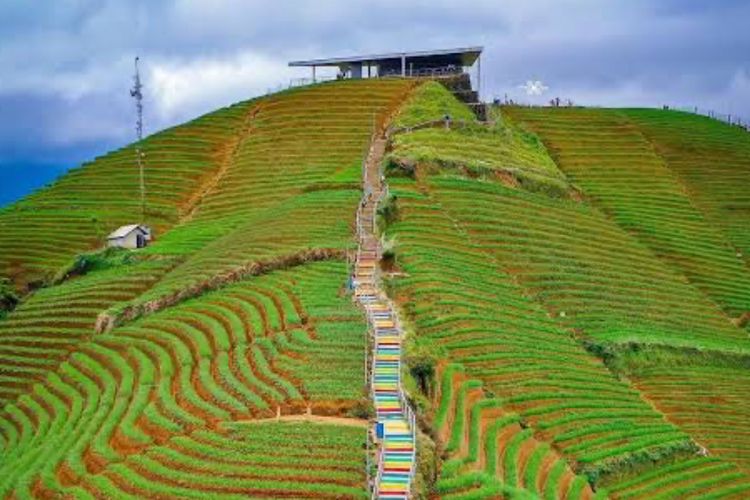 Keindahan Terasering Panyaweuyan, Mengintip Hamparan Hijau Mirip Ubud di Majalengka