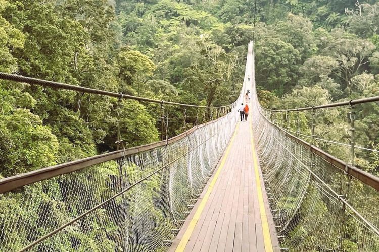 Rengganis Suspension Bridge, Rasakan Sensasi Berjalan di Atas Awan
