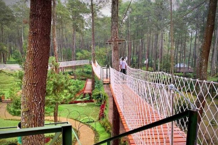 Kebon Pines Lembang, Pesona Alam Asri di Kaki Gunung Tangkuban Parahu
