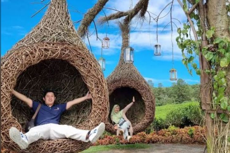 Asstro Highlands Ciater, Destinasi Glamping dan Kuliner Estetik di Tengah Perkebunan Teh