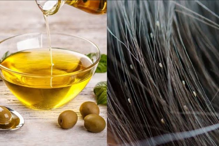 Ampuh dan Aman! Ini 5 Metode Alami Cara Menghilangkan Kutu Rambut