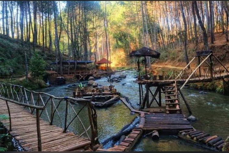 Hutan Pinus Rahong, Pesona Alam yang Menenangkan di Pinggir Bandung