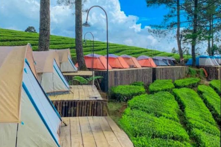 Nuansa Riung Gunung Pangalengan: Pesona Alam dan Spot Foto Instagramable