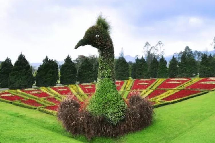 Taman Bunga Nusantara, Pesona Hamparan Warna-warni di Cianjur