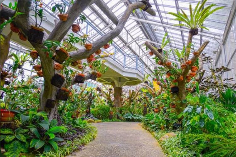 Jelajah Pesona Kebun Raya Bogor, Ini 7 Spot Wajib yang Tak Boleh Dilewatkan!