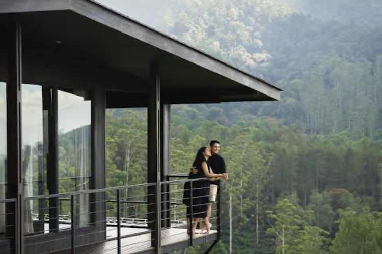 Bambulogy Cabin Pangalengan: Destinasi Liburan Mewah di Tengah Alam