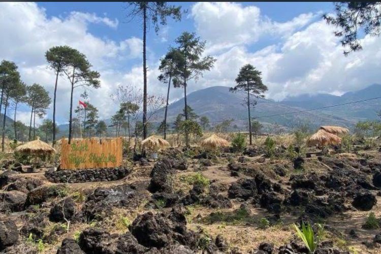 Bukit Tegal Malaka: Surga Alam dengan Panorama Savana di Garut