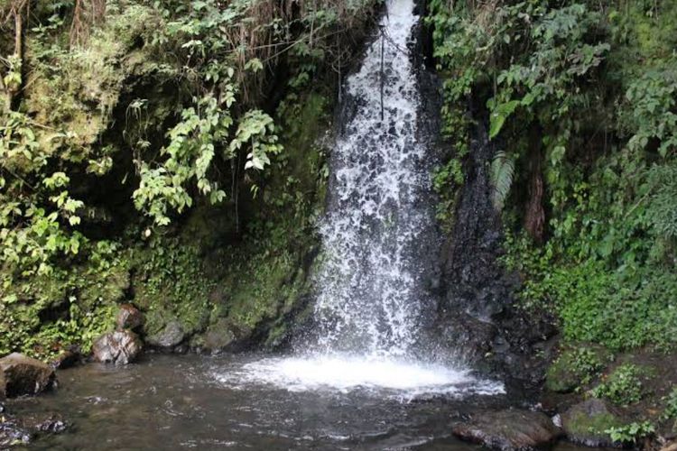 Curug Citiis, Air Terjun Asri dengan Panorama Spektakuler di Garut