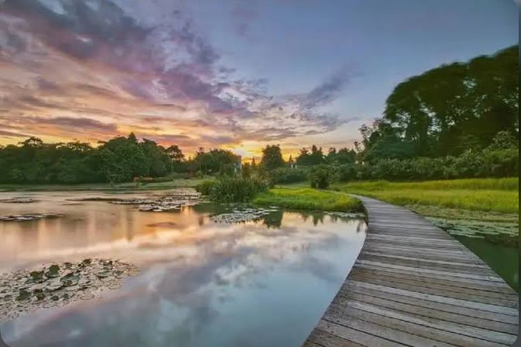 Menikmati Pesona Danau Dora: Surga Tersembunyi di Kebun Raya Cibinong