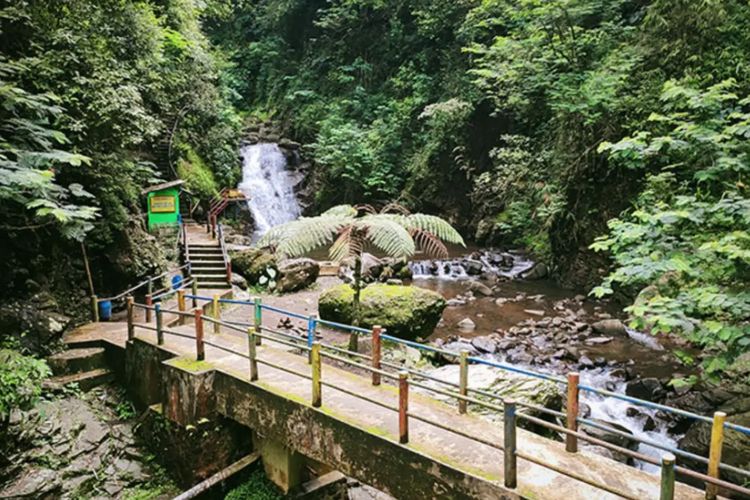 Curug Muara Jaya: Pesona Alam Tersembunyi di Majalengka