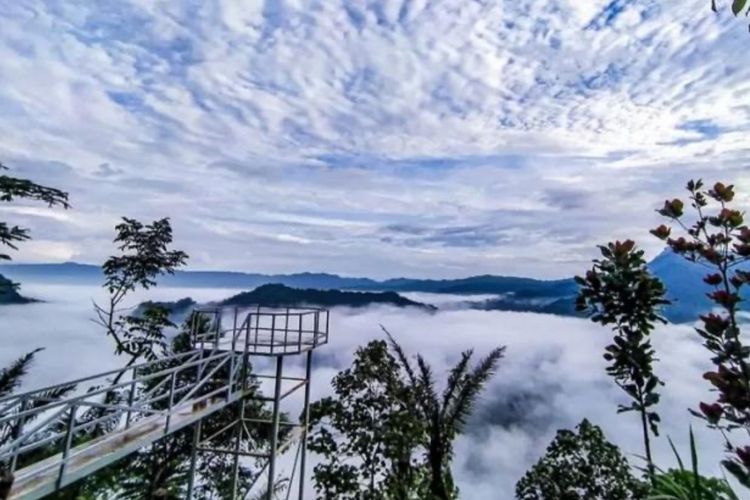 Puncak Bangku Ciamis: Wisata Alam "Negeri di Atas Awan" yang Instagramable