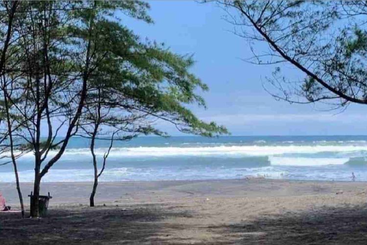 Pantai Cemara Cidaun: Perpaduan Hutan Cemara dan Laut yang Menenangkan