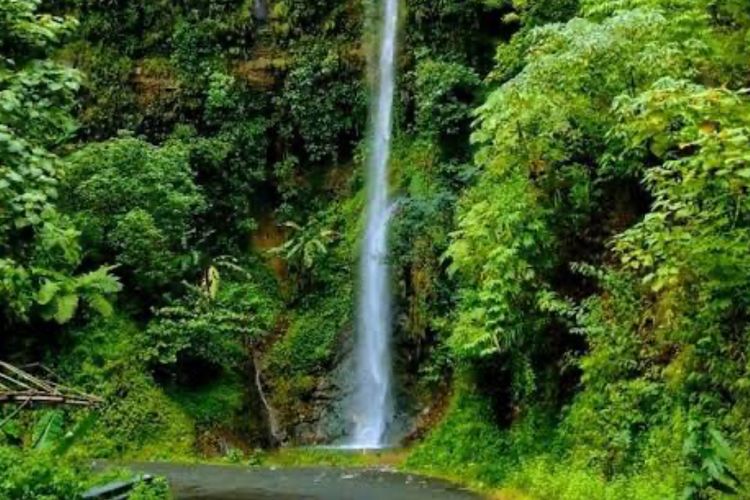 Curug Ceret Naringgul Cianjur, Keunikan Air Terjun Tepat di Pinggir Jalan Raya