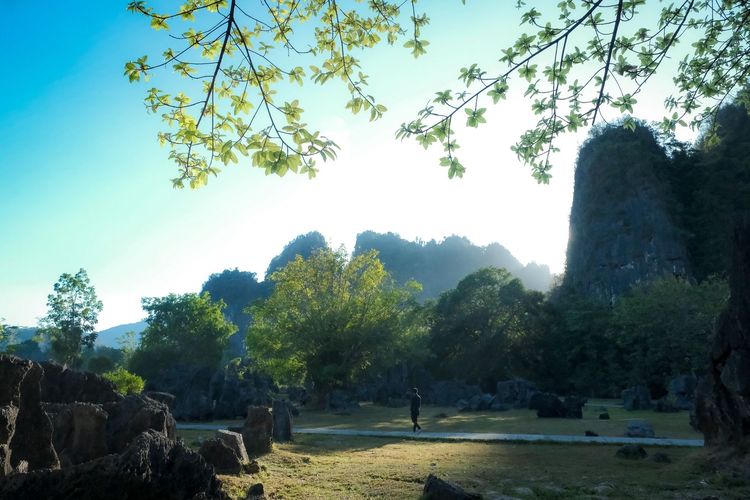 Geopark Maros Pangkep Jelang Revalidasi Status UNESCO 2026