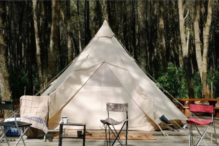 Camping di Jungle Milk Lembang: Mengintip Keindahan Hutan Pinus yang Instagramable