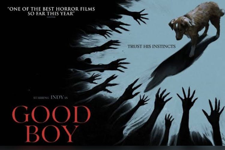 Film Horor Good Boy Rilis di Bioskop, Kisah Seram dari Sudut Pandang Anjing