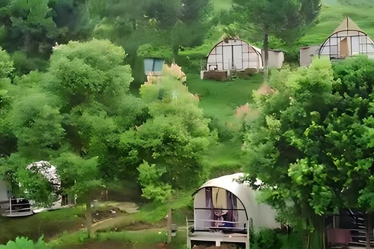 Cuma 3 Menit dari Curug Panjang! Glamping Sekeren Ini Cuma di Cimon Urban Camp