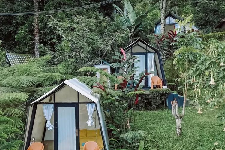 DPaseban Glamping, Surga Berkemah dengan Fasilitas Lengkap di Puncak