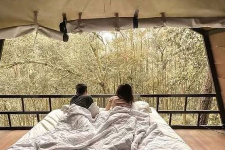 Glamping Songgo Langit: Sensasi Kemah Mewah di Tengah Hutan Pinus Mangunan