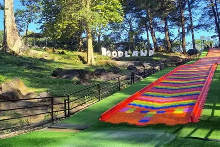 Eksplor Woodland Kuningan: Wisata Alam Kekinian dengan Udara Segar Pegunungan