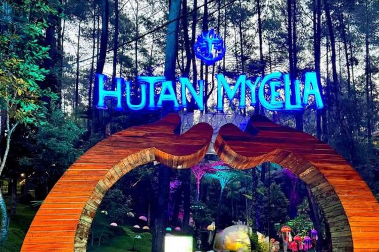 Hutan Mycelia Cikole: Perpaduan Alam, Seni, dan Fantasi dengan HTM Rp50.000