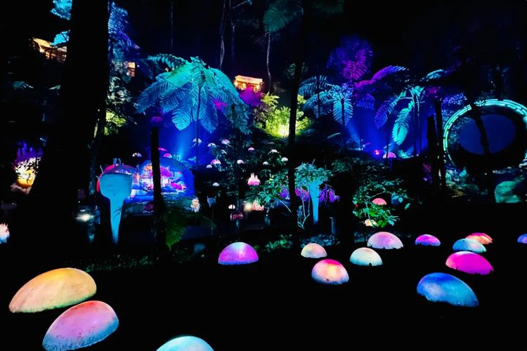 Hutan Mycelia Lembang: Negeri Dongeng di Tengah Rimbunnya Hutan Pinus