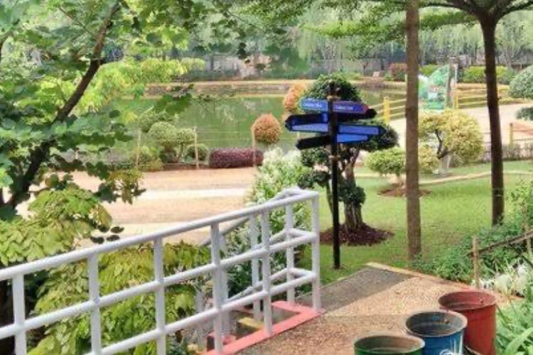 Menjelajahi Taman Lembah Mawar, Ruang Publik Favorit Tanpa Tiket Masuk di Depok