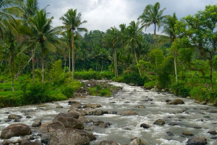 Pesona Cadas Ngampar: Surga Alami di Kaki Gunung Sawah