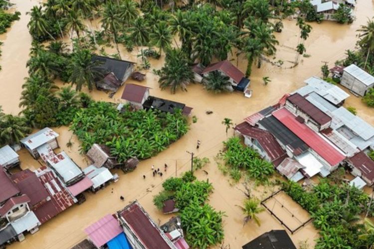 Selamatkan Nyawa! Berikut 5 Strategi Evakuasi Saat Terjadi Banjir