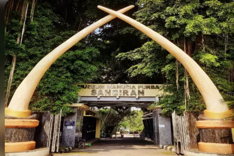 Mengungkap Situs Sangiran: Laboratorium Alam Evolusi Manusia Terpenting di Dunia