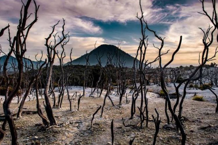 Menikmati Keindahan Gunung Papandayan Garut Beserta Info Tiket Masuk