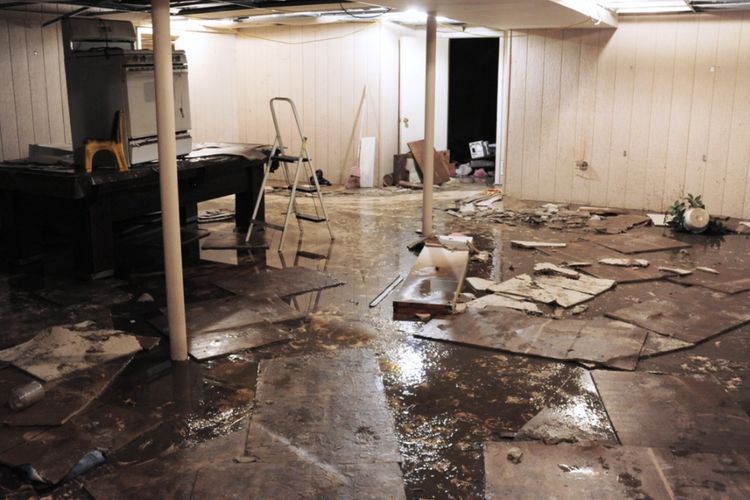 5 Cara Membersihkan Rumah Setelah Banjir Agar Bebas Jamur dan Bau