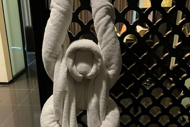 Demi Kepuasan Tamu, Housekeeping Hotel Rela Bentuk Handuk dari Gajah hingga Naga