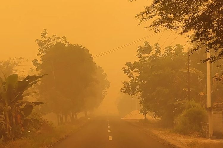 Karhutla Belum Jadi Bencana Nasional, Pemerintah Nilai Masih Mampu Menangani 